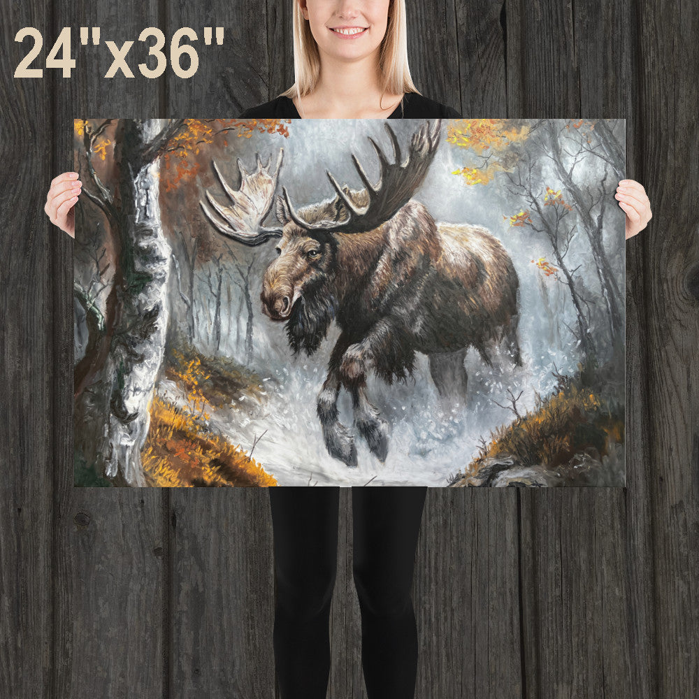 Moose in the Forest