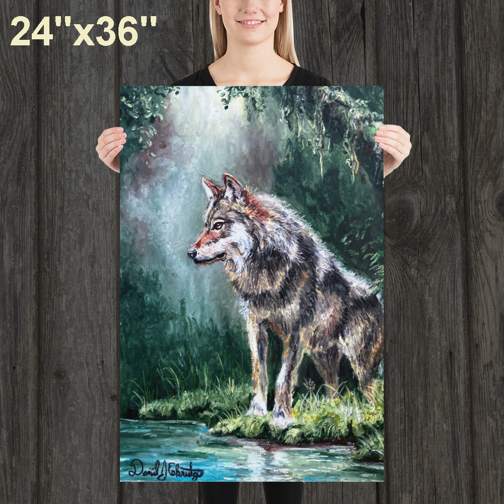 Wolf by a Forest Pond
