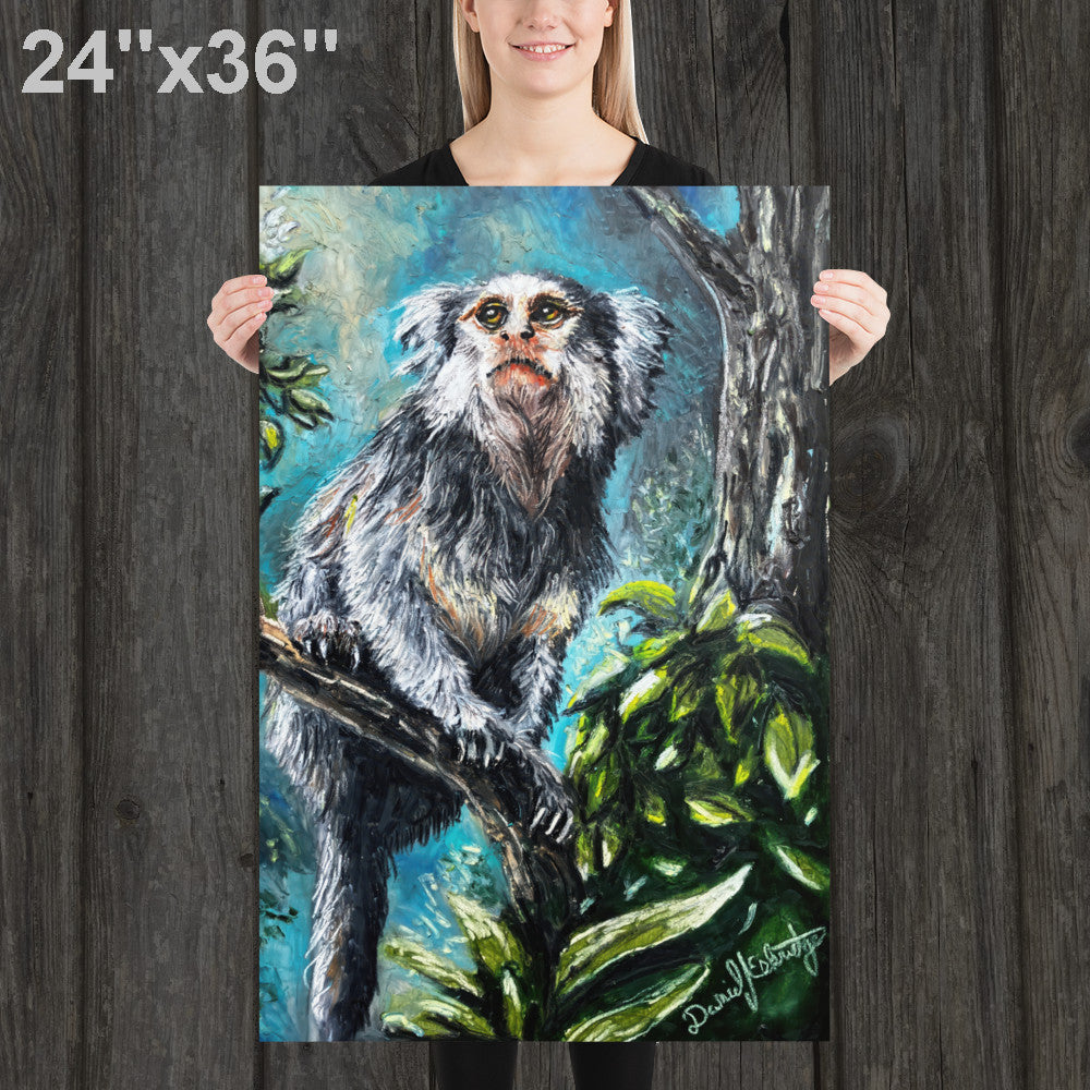Marmoset