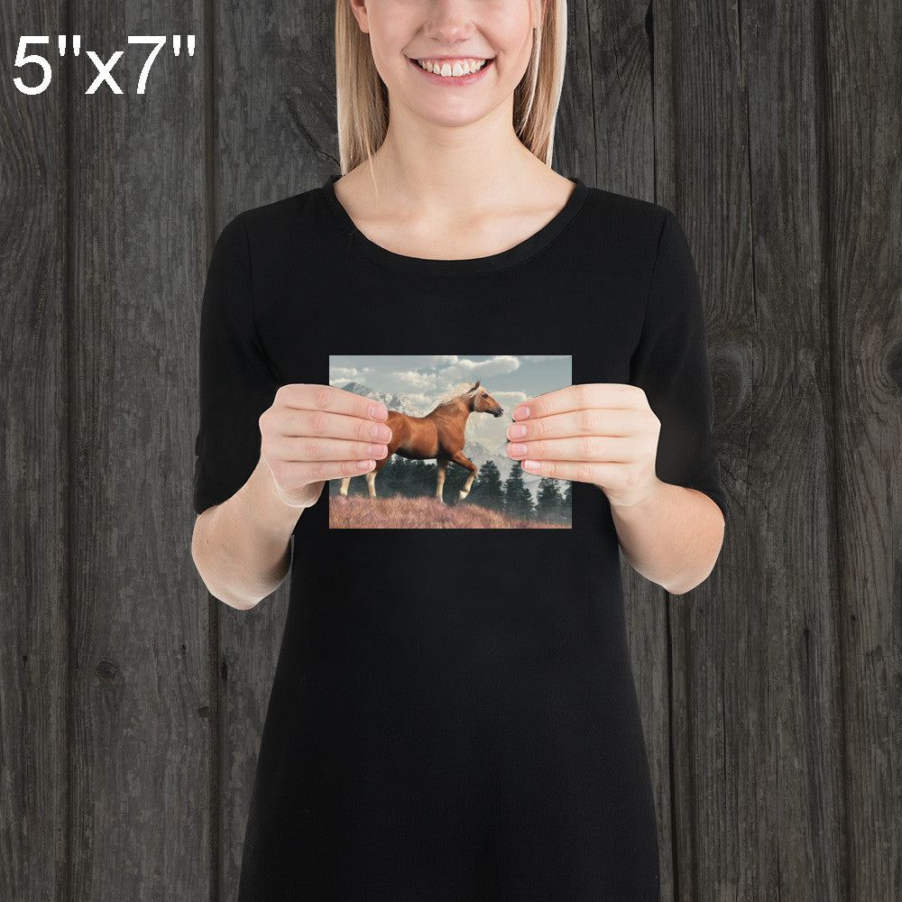 Wild Belgian Horse