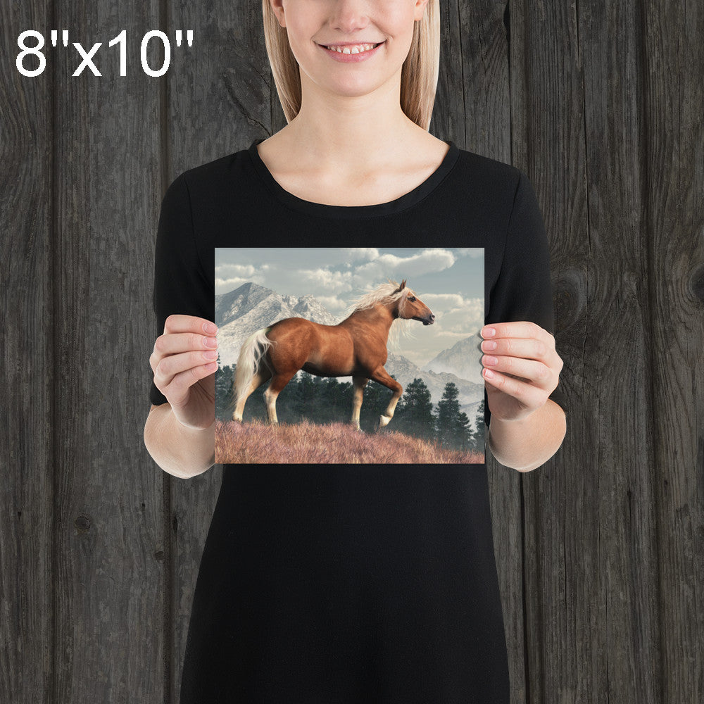 Wild Belgian Horse