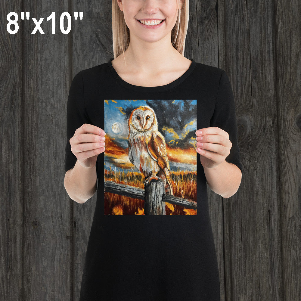 Barn Owl