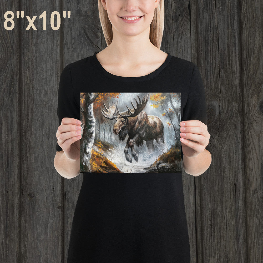 Moose in the Forest