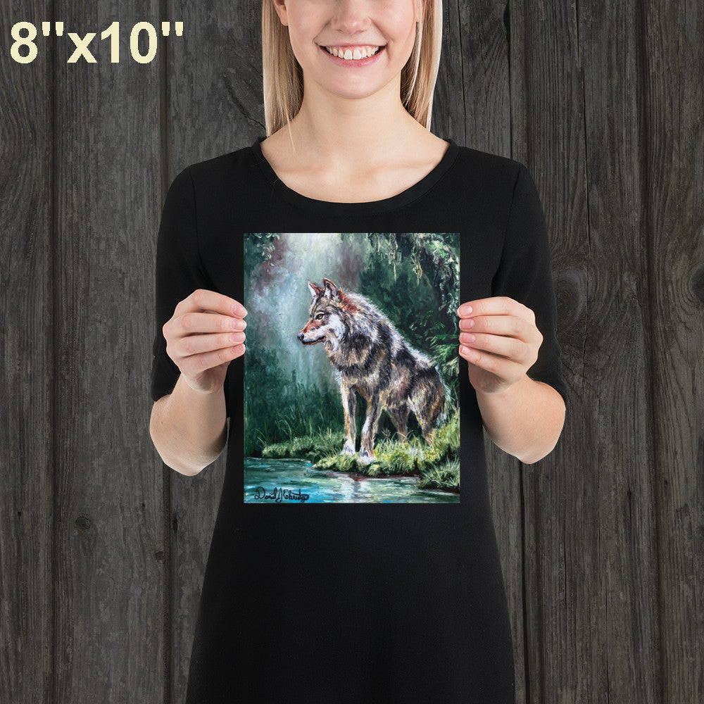 Wolf by a Forest Pond