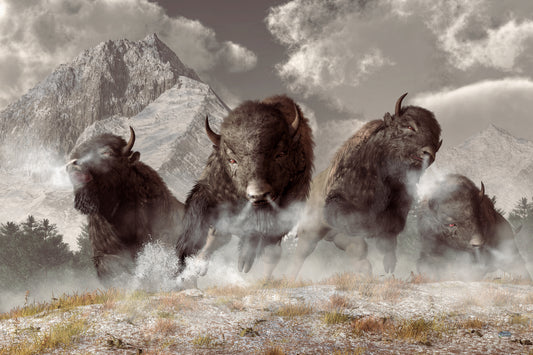 Buffalo