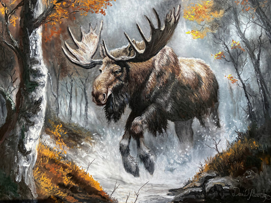 Moose in the Forest