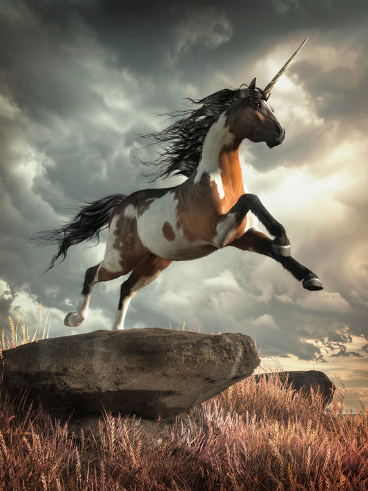 Pinto Unicorn