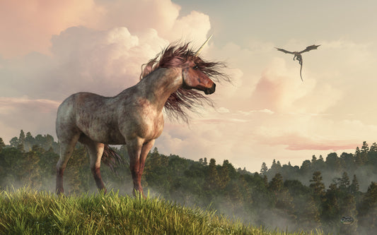 Strawberry Roan Unicorn