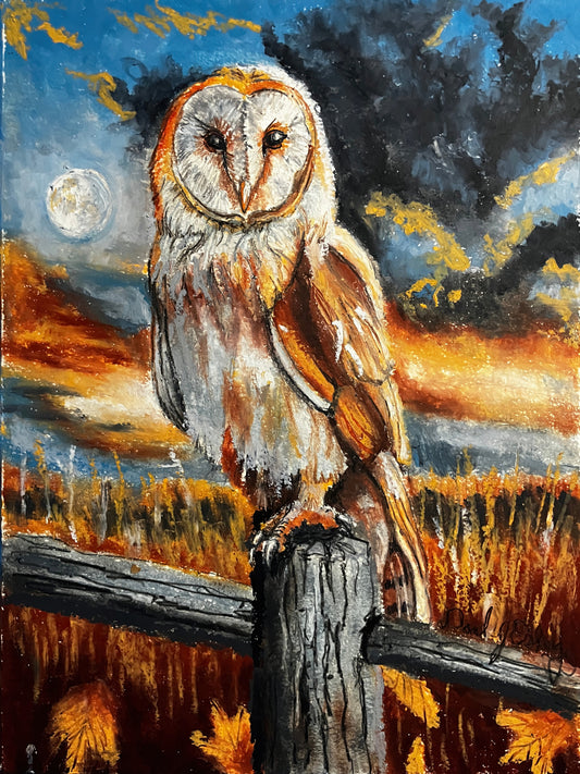 Barn Owl