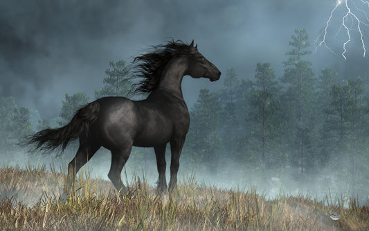 Friesian Horse and and Dark Skies
