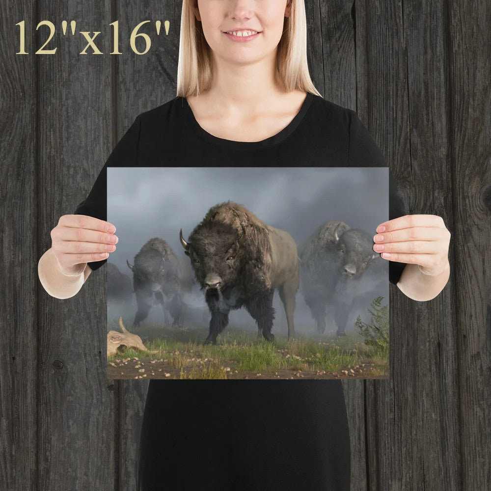 The Buffalo Vanguard