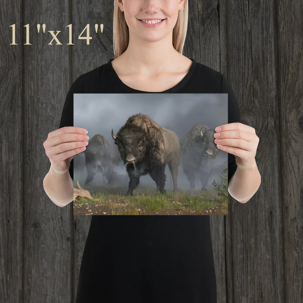 The Buffalo Vanguard