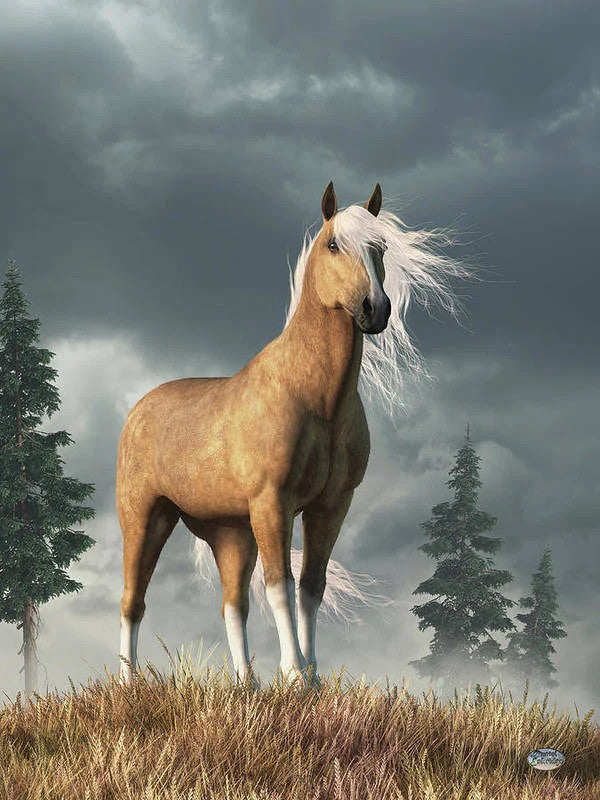 Palomino Horse