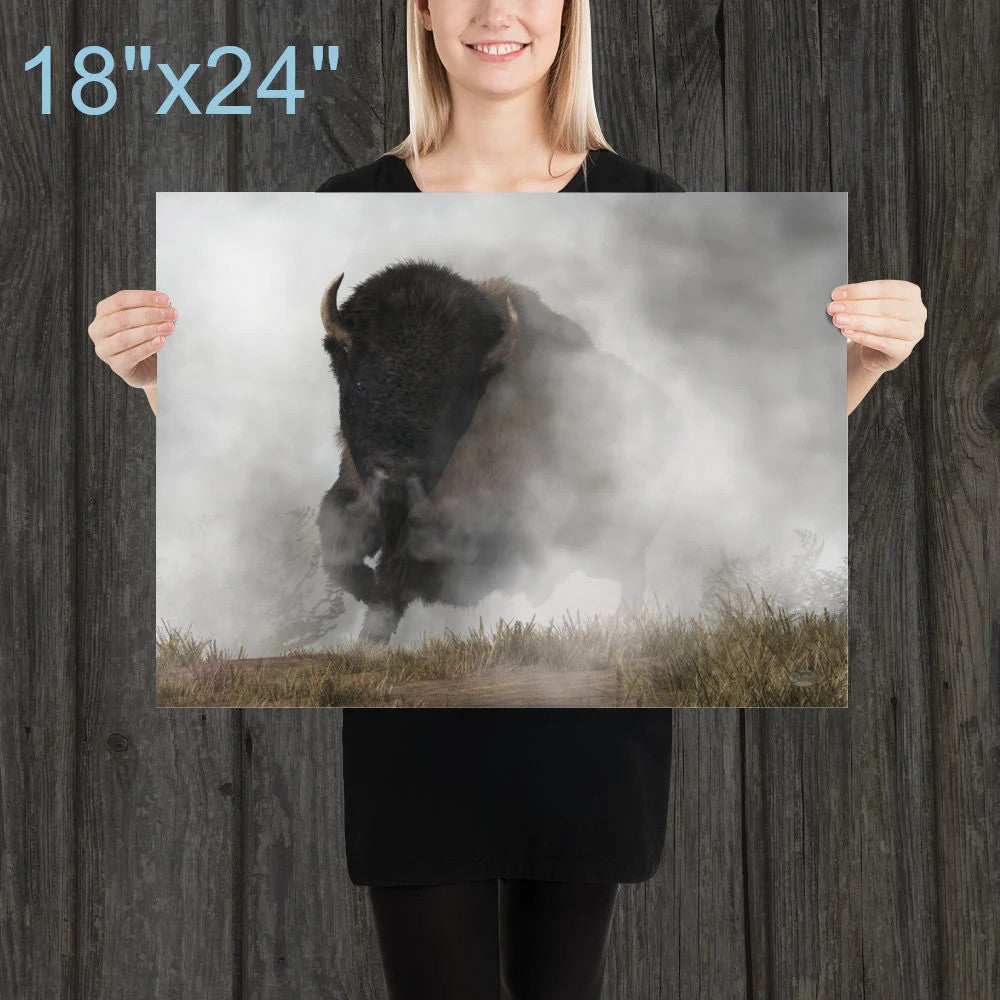 Buffalo Emerging From The Fog