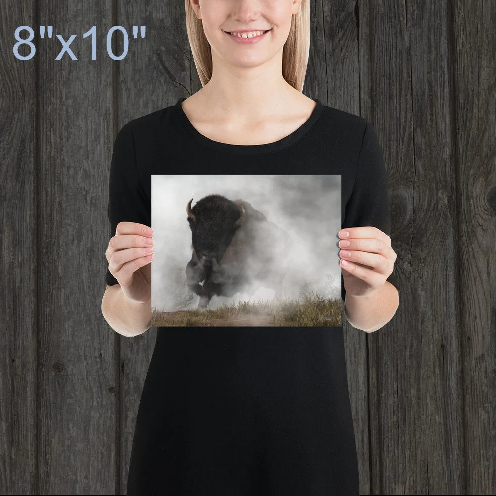 Buffalo Emerging From The Fog