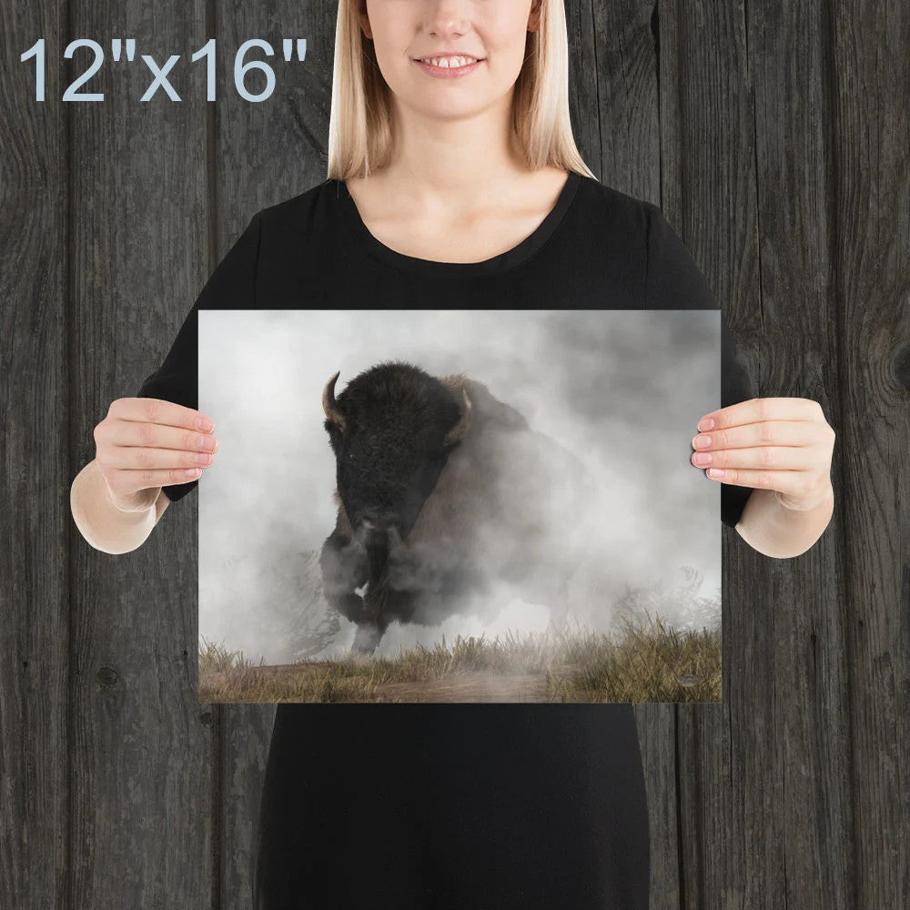 Buffalo Emerging From The Fog