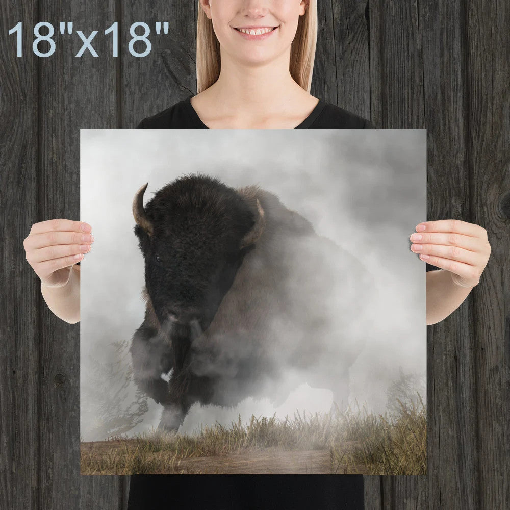 Buffalo Emerging From The Fog