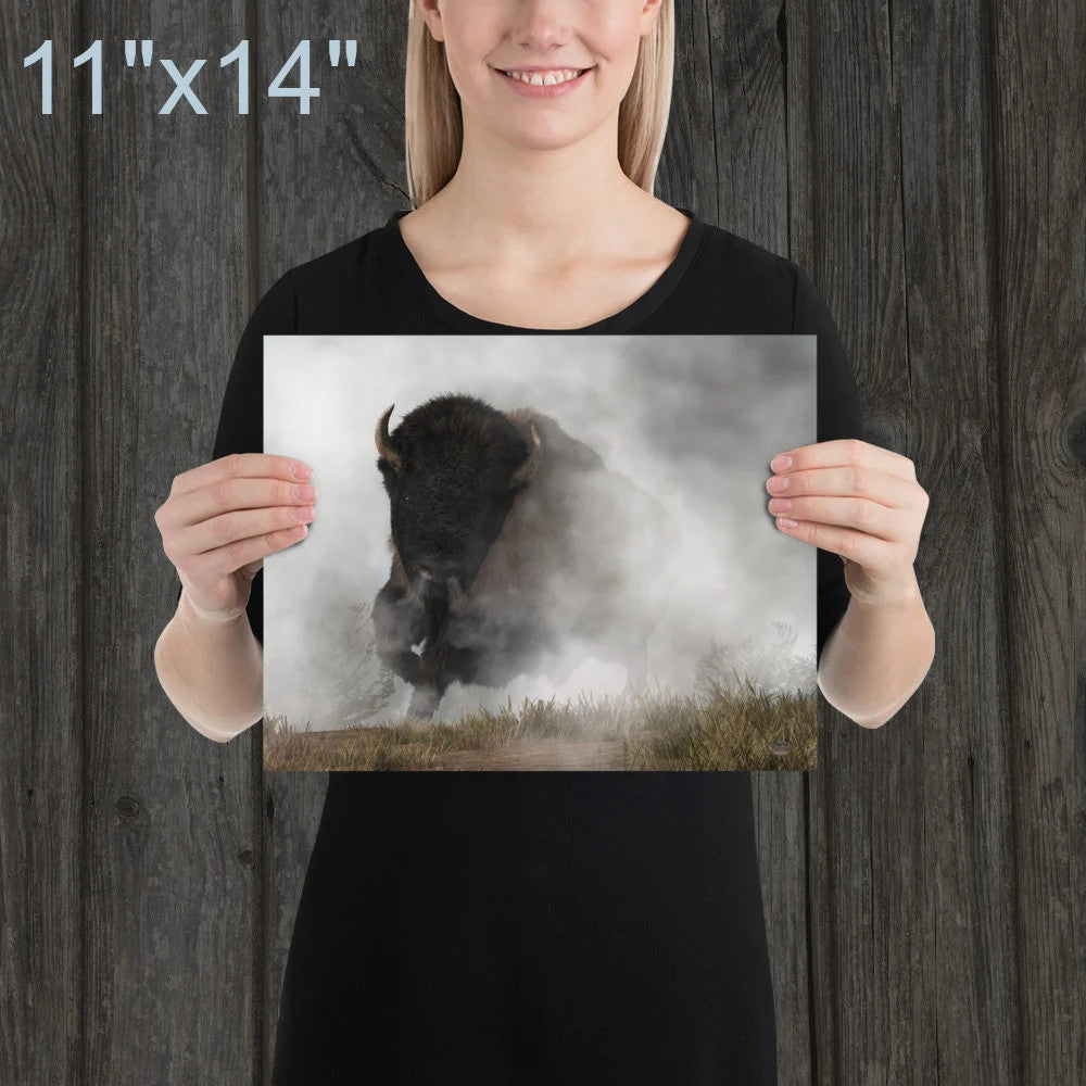 Buffalo Emerging From The Fog