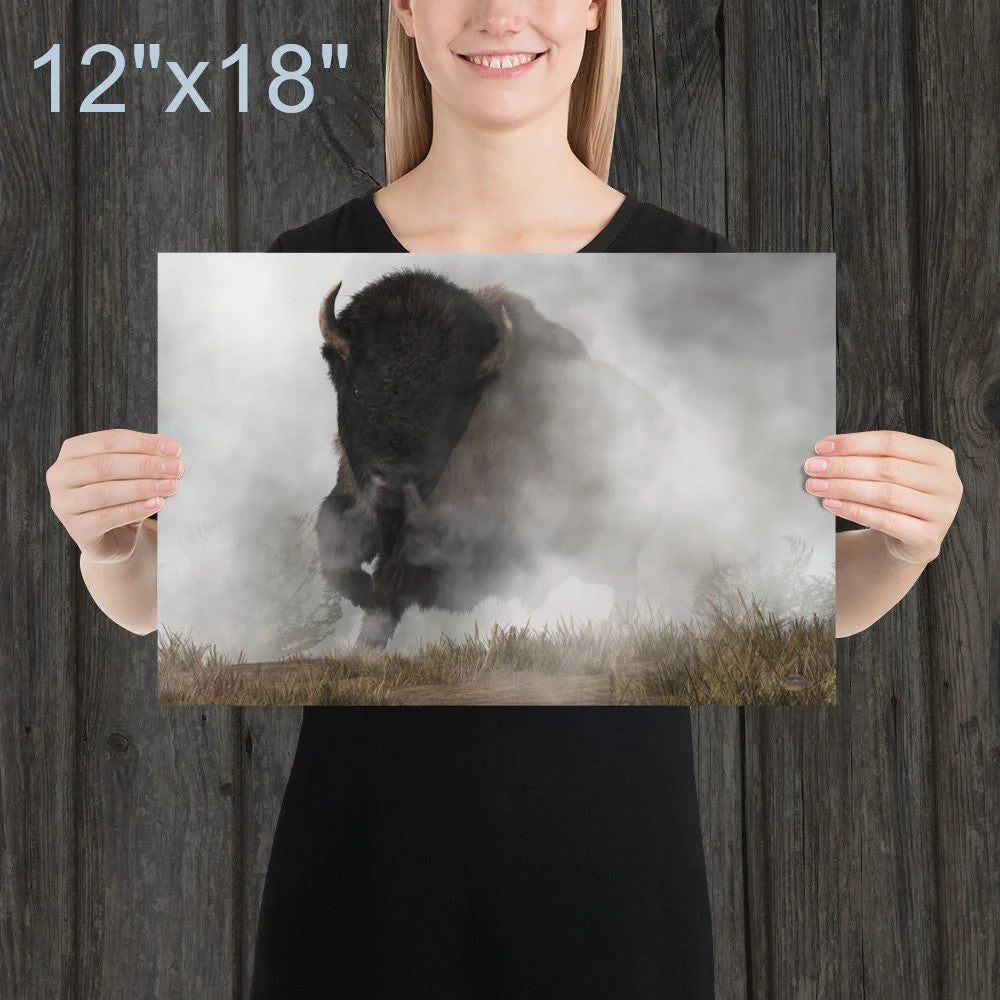 Buffalo Emerging From The Fog