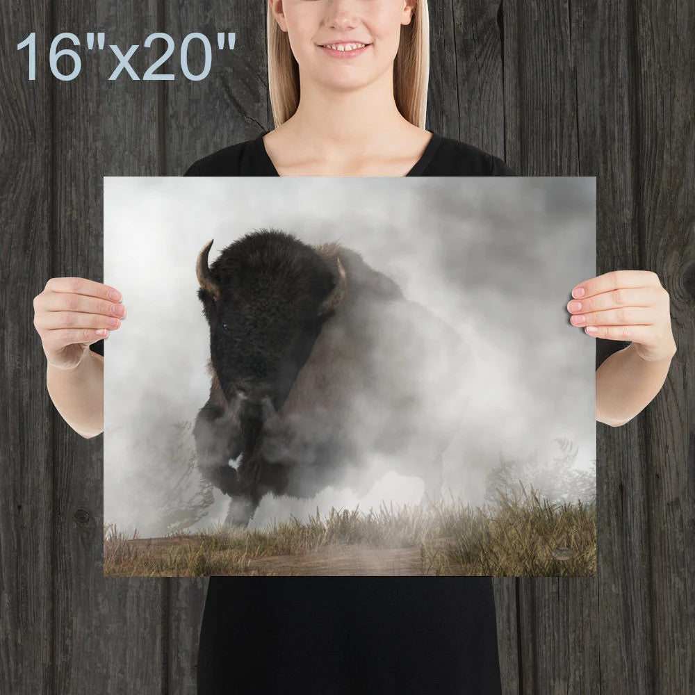 Buffalo Emerging From The Fog
