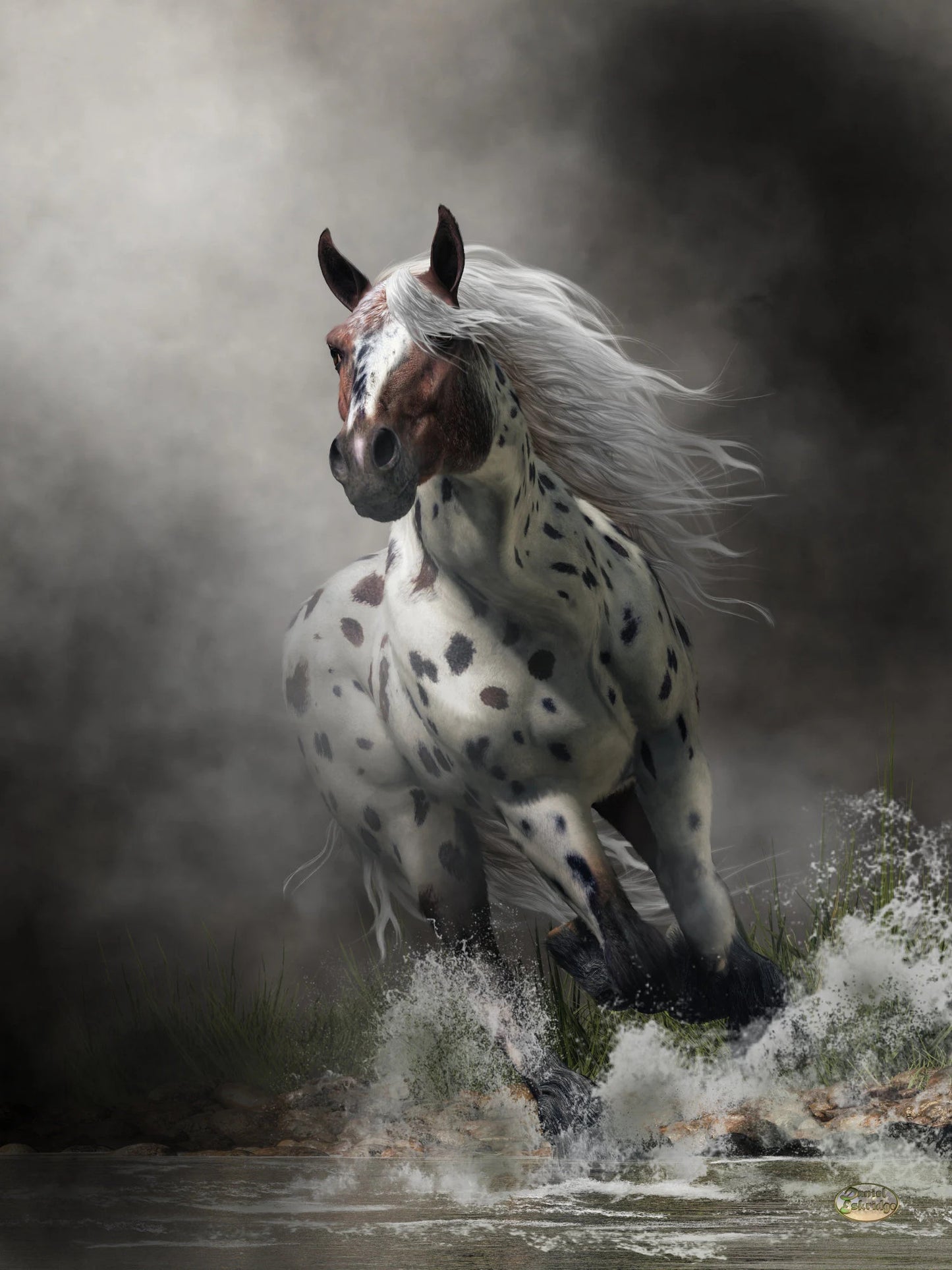 Appaloosa