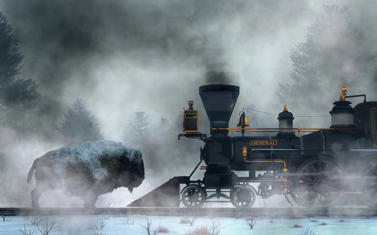 Buffalo Versus Train