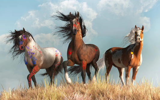 Warrior Horses in War Paint