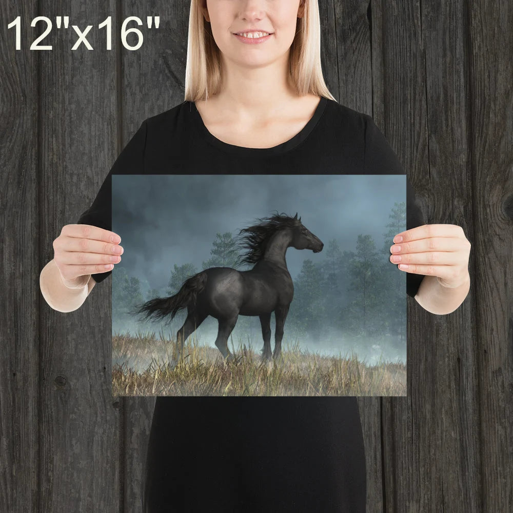 Friesian Horse and and Dark Skies