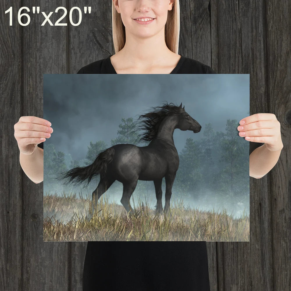 Friesian Horse and and Dark Skies