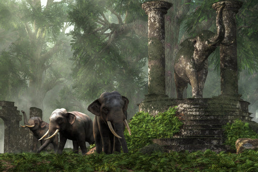 Elephant Kingdom