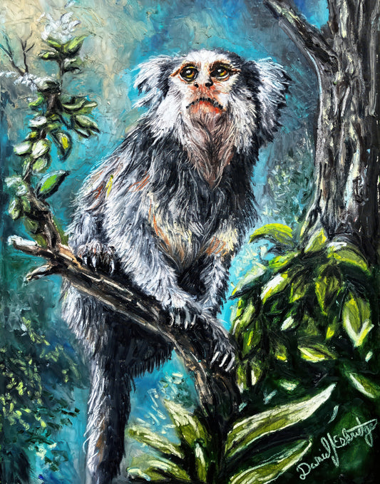 Marmoset