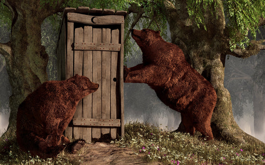 Bears Around the Outhouse
