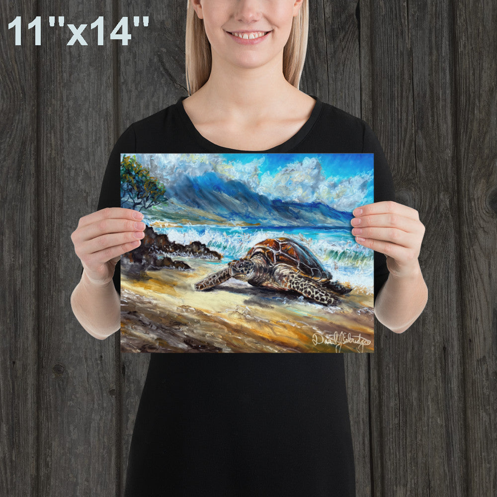 Sea Turtle on the Beach