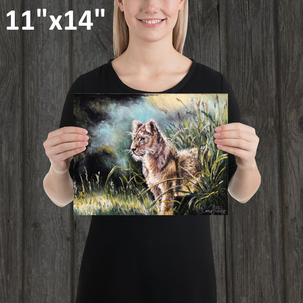 Lion Cub in the Grass