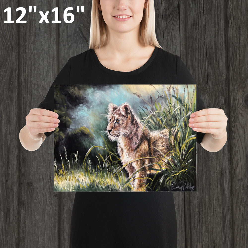 Lion Cub in the Grass