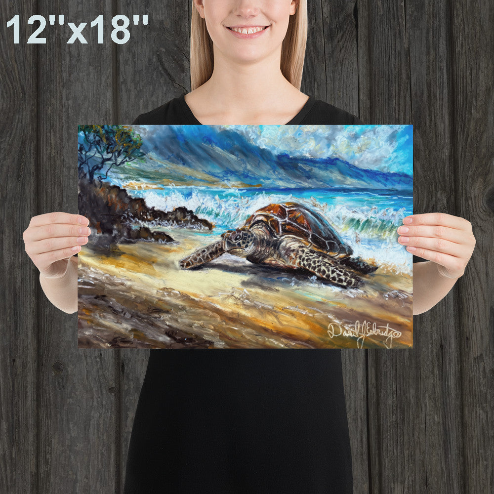 Sea Turtle on the Beach