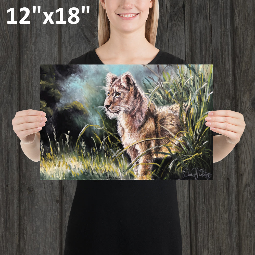 Lion Cub in the Grass