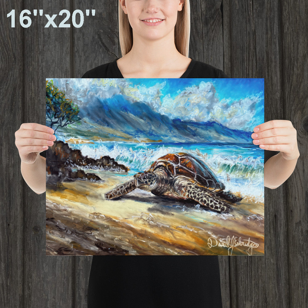 Sea Turtle on the Beach