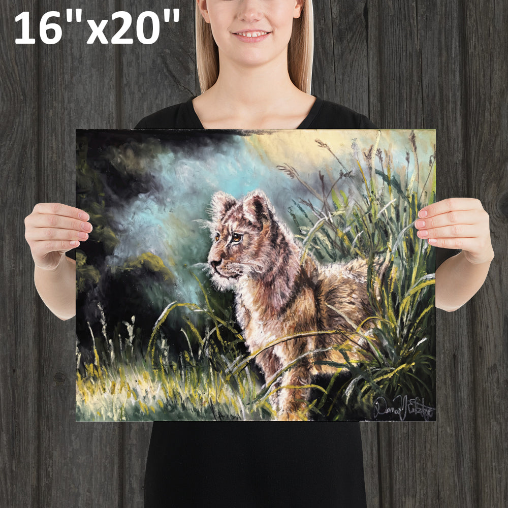 Lion Cub in the Grass