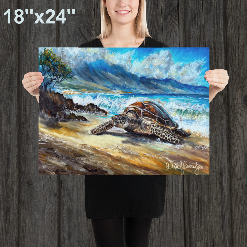 Sea Turtle on the Beach