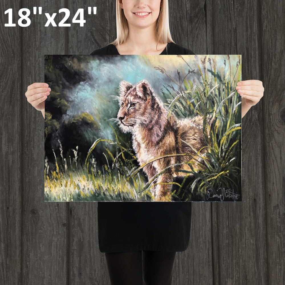 Lion Cub in the Grass