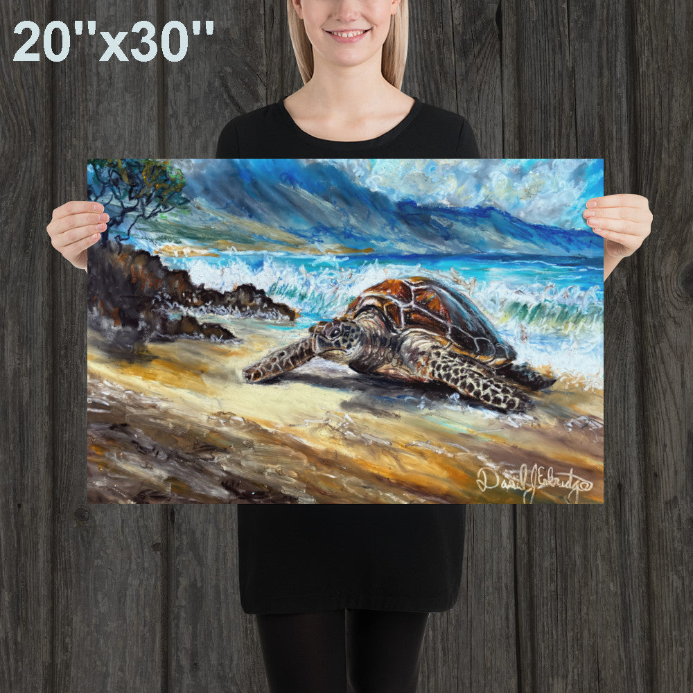 Sea Turtle on the Beach