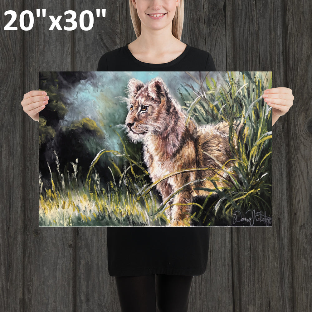 Lion Cub in the Grass