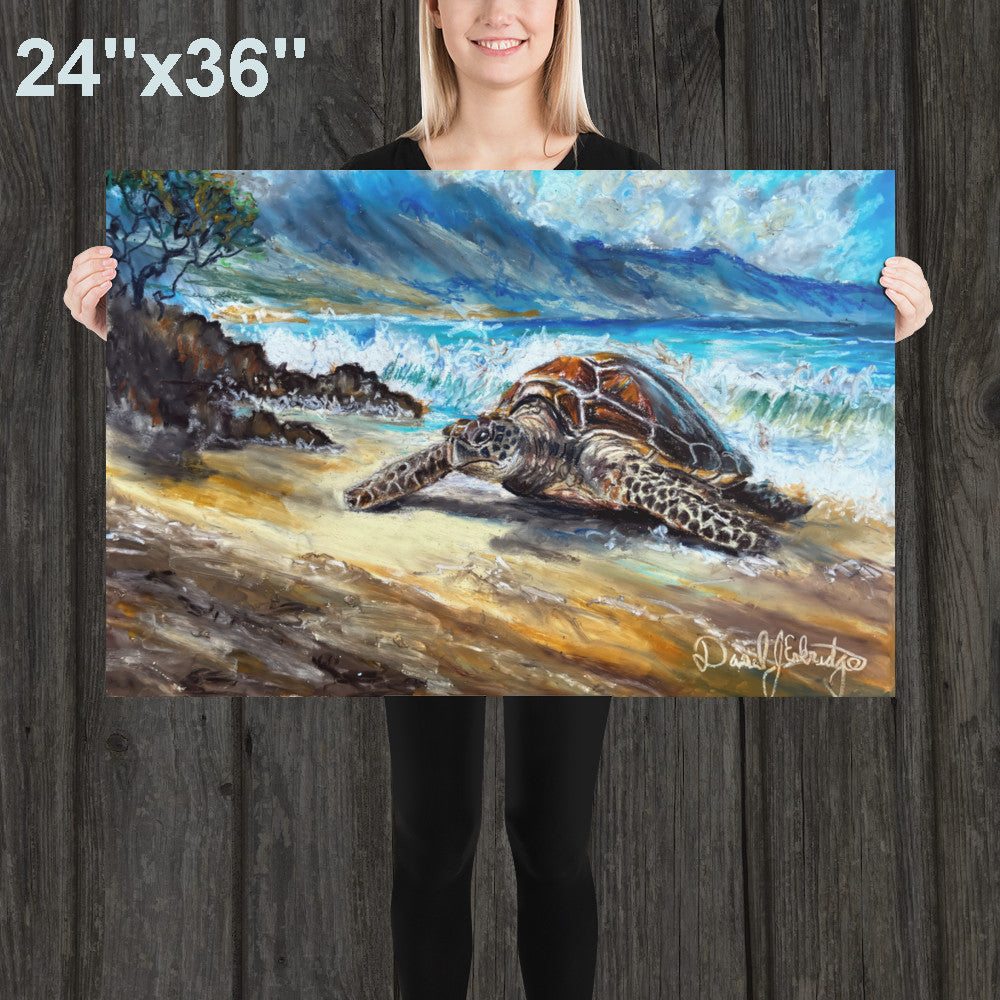 Sea Turtle on the Beach