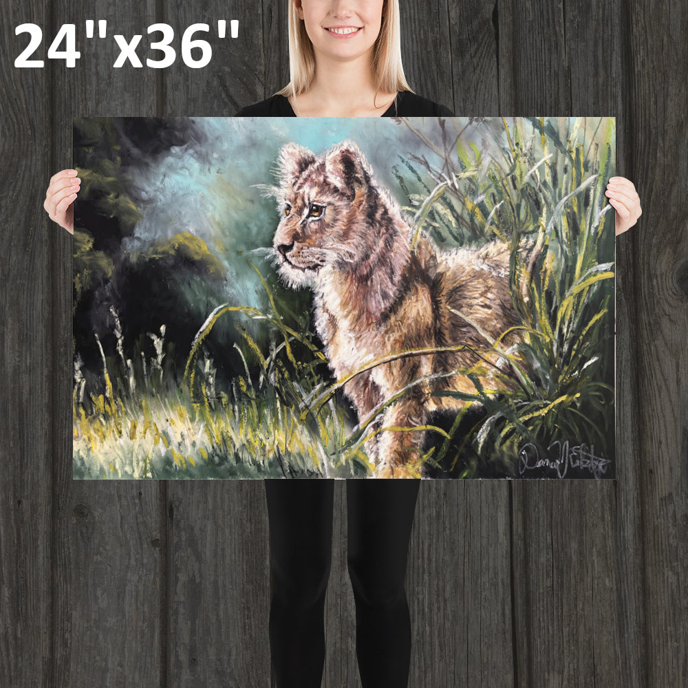 Lion Cub in the Grass