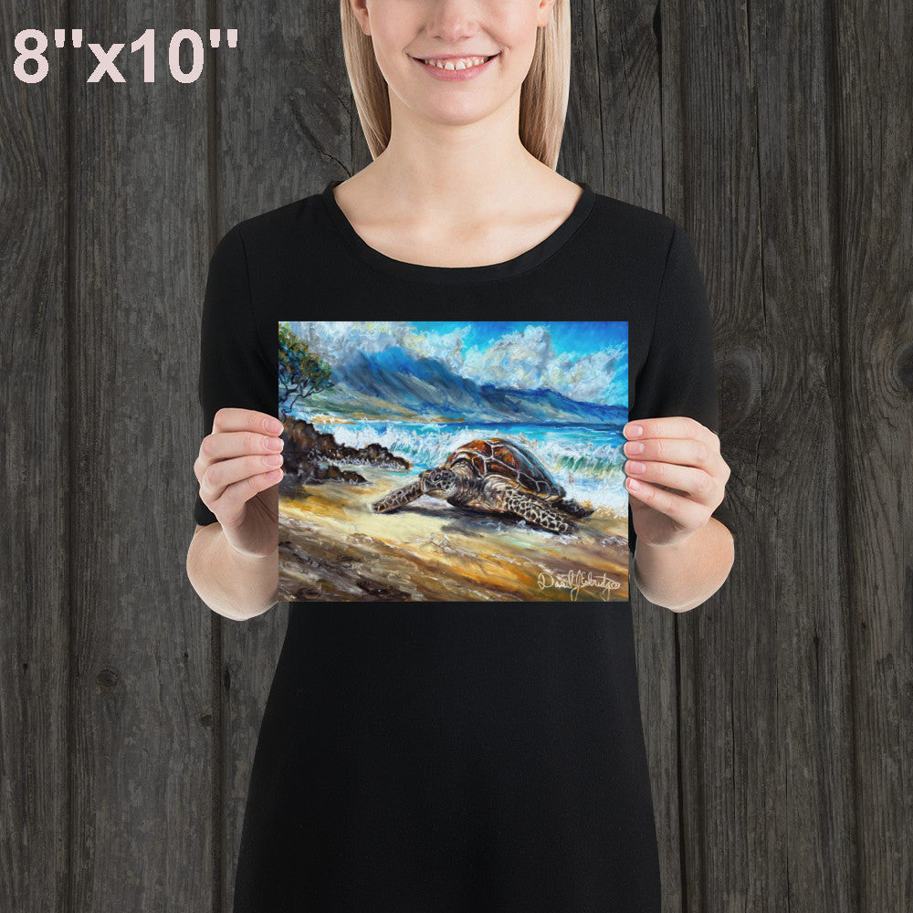 Sea Turtle on the Beach