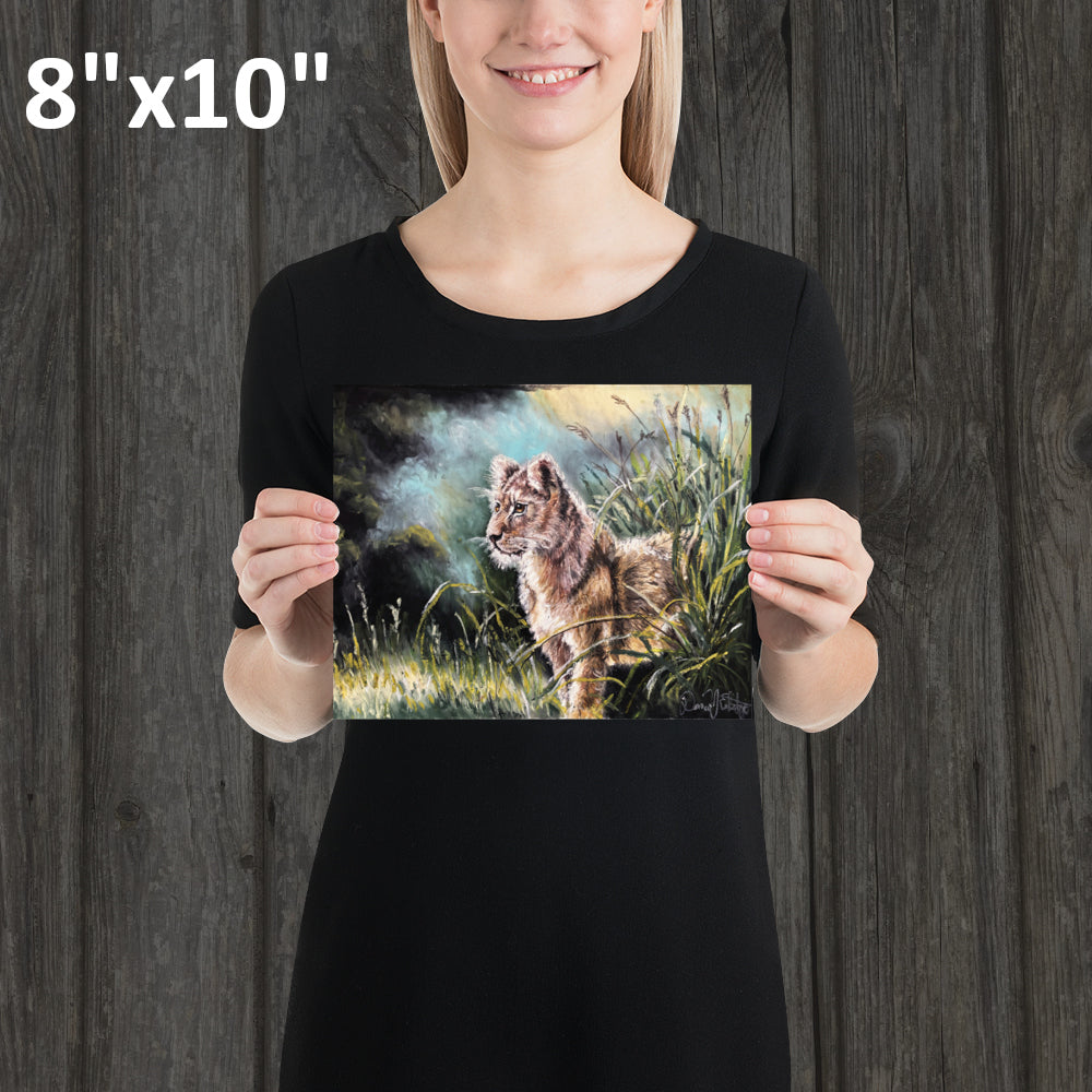 Lion Cub in the Grass