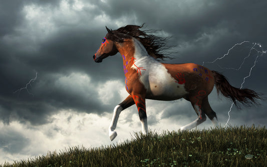 War Horse of the Spring Storm