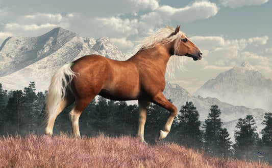 Wild Belgian Horse